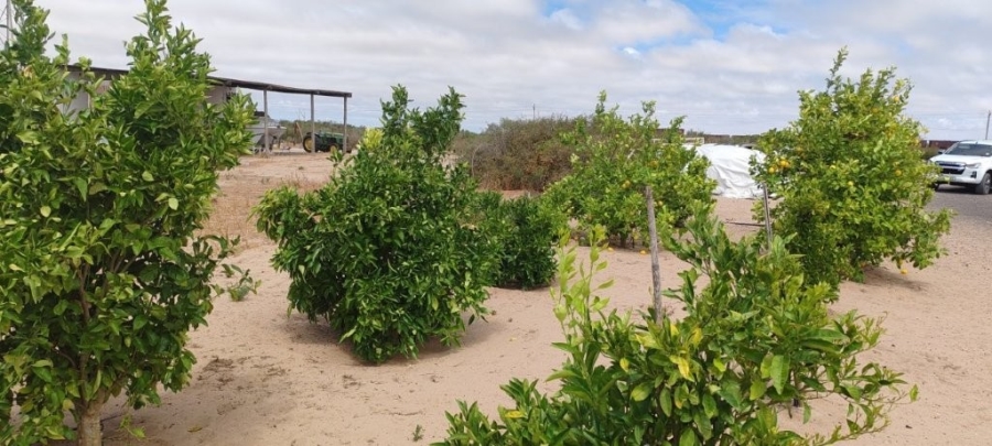 3 Bedroom Property for Sale in Velddrif Western Cape